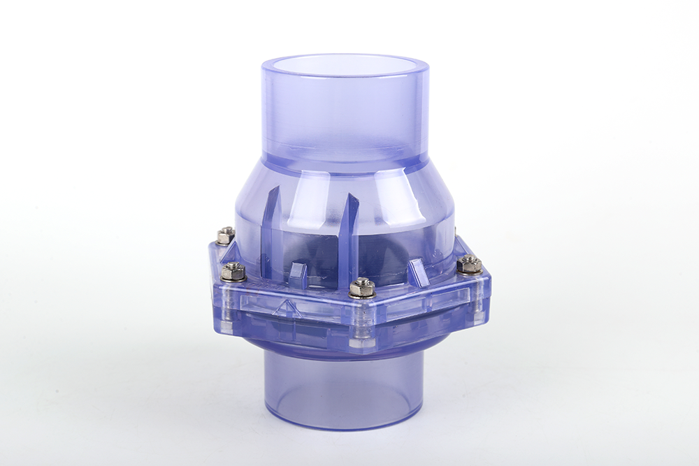 涿鹿透明翻板式止回阀